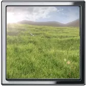 Реалистичное Поле