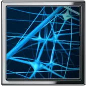 Нейроны Мозга