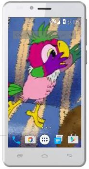 Попугай Кеша