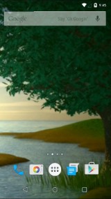 Дерево и Река