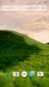 Дерево на Лужайке