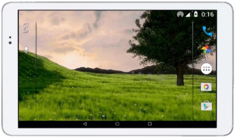 Дерево на Лужайке